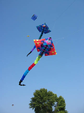 Beaver Dam Hot Rod kite