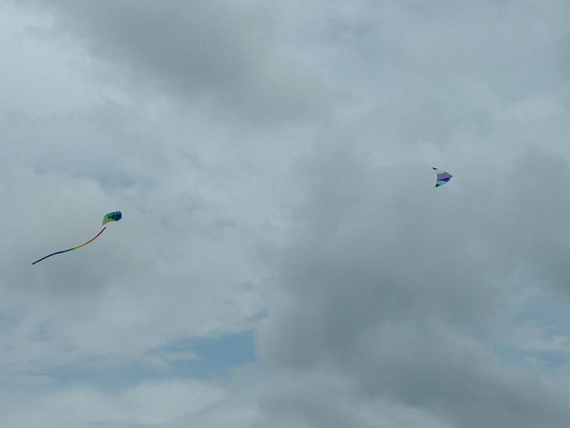 kites in flight